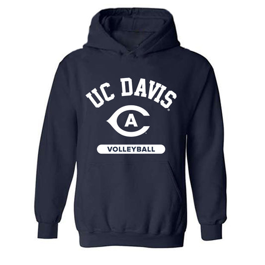 UC Davis - NCAA Women's Volleyball : Brooke Hibino - Classic Shersey Hooded Sweatshirt-0