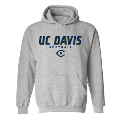 UC Davis - NCAA Softball : Amanda Baldwin - Classic Shersey Hooded Sweatshirt-0