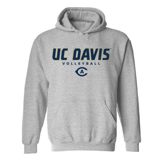 UC Davis - NCAA Women's Volleyball : Brooke Hibino - Classic Shersey Hooded Sweatshirt-0