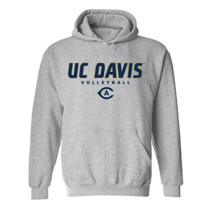 UC Davis - NCAA Women's Volleyball : Ally Chandler - Classic Shersey Hooded Sweatshirt-0