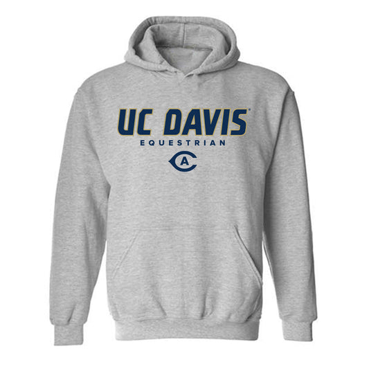 UC Davis - NCAA Equestrian : Nicole Shroyer - Classic Shersey Hooded Sweatshirt-0