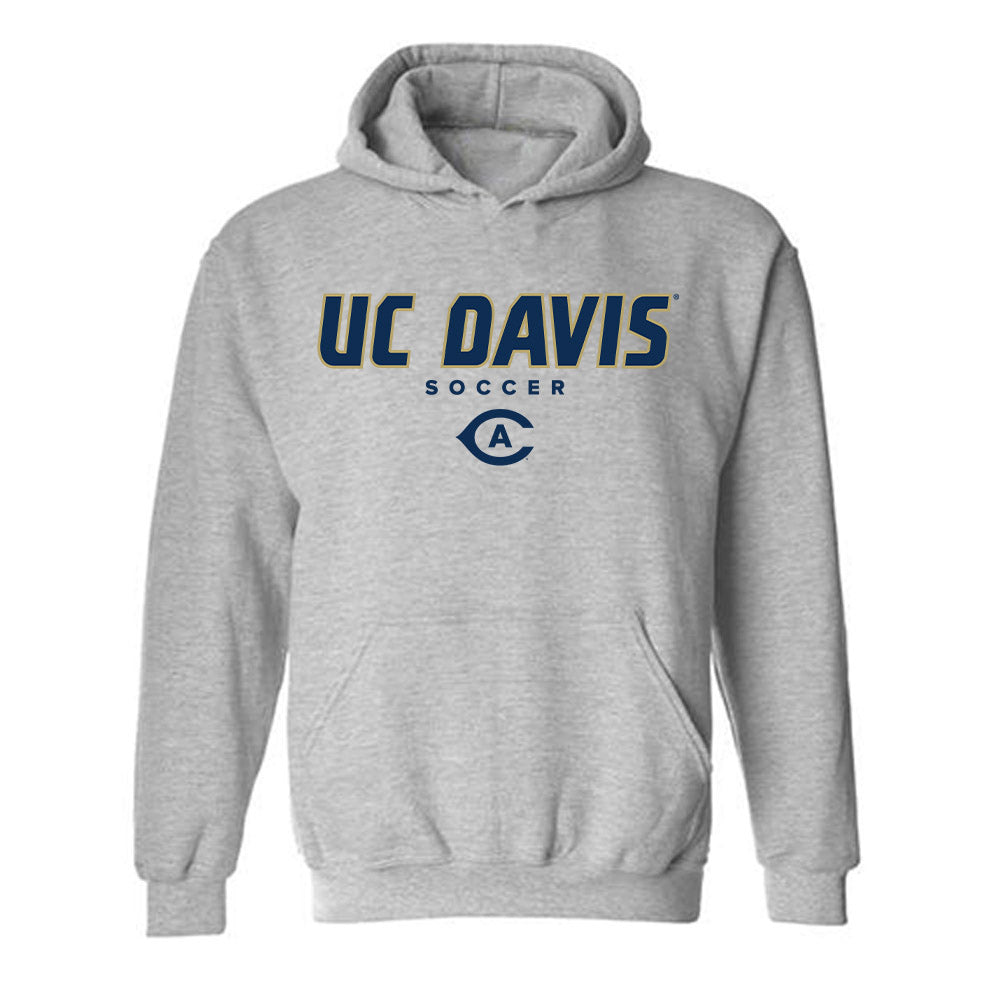 UC Davis - NCAA Women's Soccer : Payton Henry - Classic Shersey Hooded Sweatshirt-0