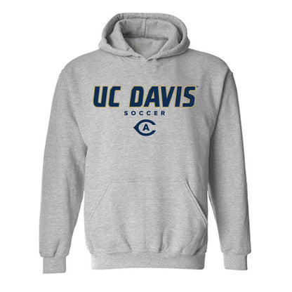 UC Davis - NCAA Women's Soccer : Payton Henry - Classic Shersey Hooded Sweatshirt-0