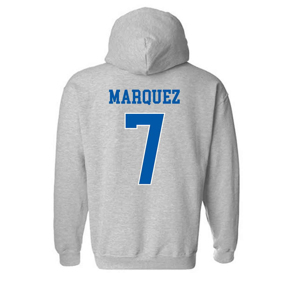 UNC Asheville - NCAA Women's Basketball : Aileen Marquez - Classic Shersey Hooded Sweatshirt-1