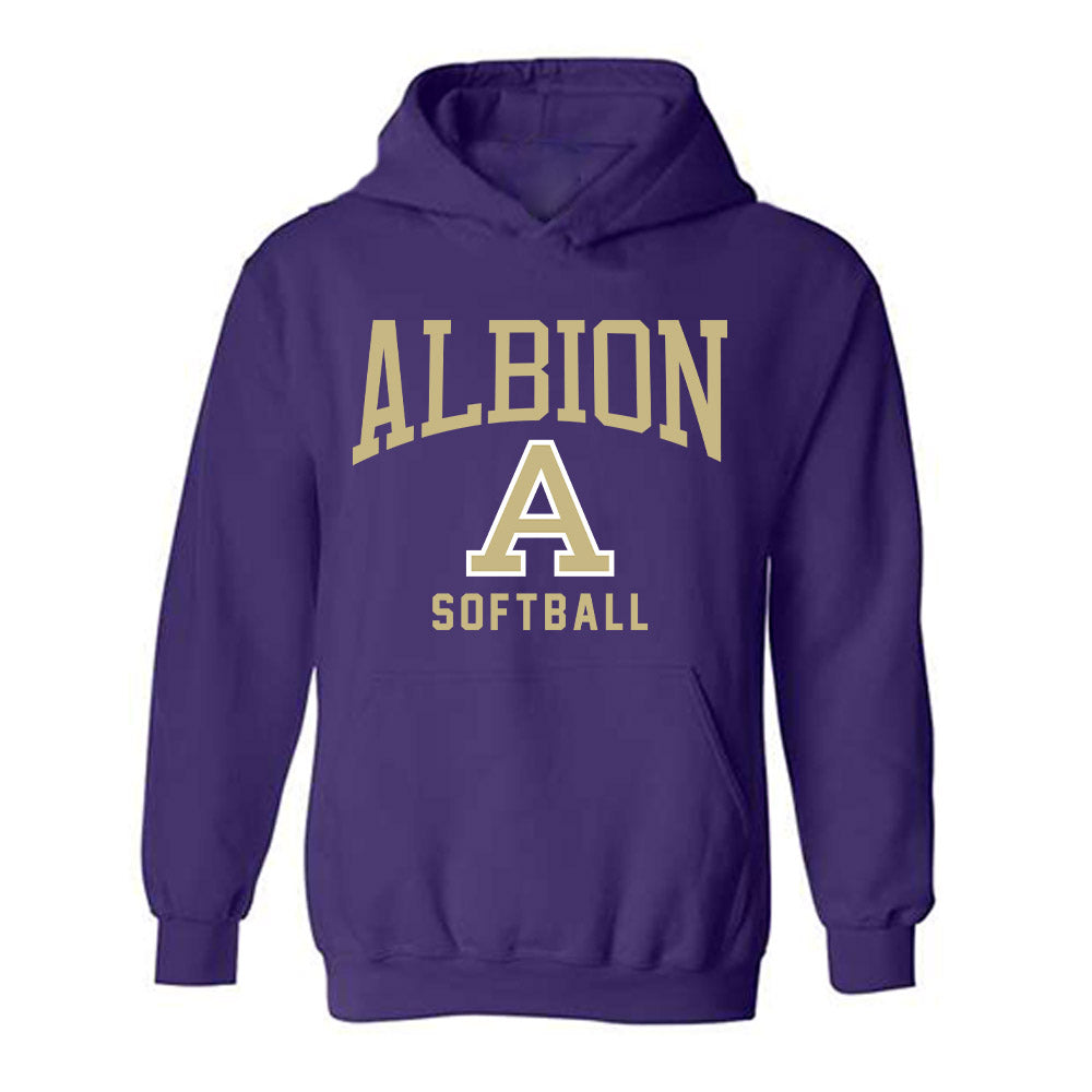 Albion - NCAA Softball : Avery Obetts - Classic Shersey Hooded Sweatshirt-0