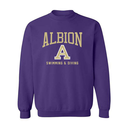 Albion - NCAA Men's Swimming & Diving : Will Pentland - Classic Shersey Crewneck Sweatshirt-0