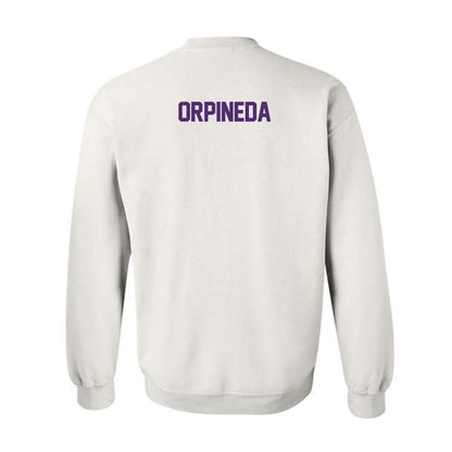 Albion - NCAA Men's Soccer : Christian Orpineda - Classic Shersey Crewneck Sweatshirt-1