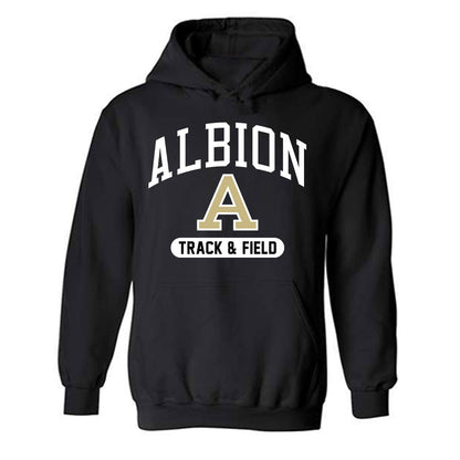 Albion - NCAA Men's Track & Field : Sam VanderWerf - Classic Shersey Hooded Sweatshirt-0