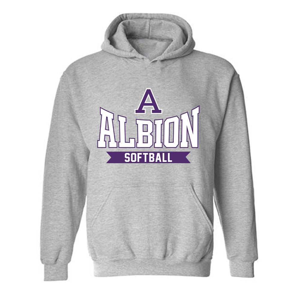 Albion - NCAA Softball : Sophia Shingles - Classic Shersey Hooded Sweatshirt-0