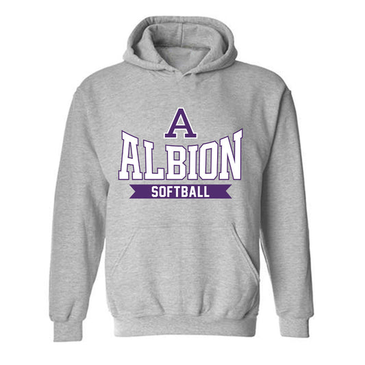 Albion - NCAA Softball : Sophia Shingles - Classic Shersey Hooded Sweatshirt-0