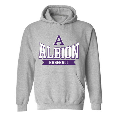 Albion - NCAA Baseball : Alex DeFinis - Classic Shersey Hooded Sweatshirt-0