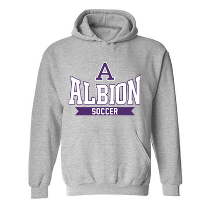 Albion - NCAA Men's Soccer : Simone Folino - Classic Shersey Hooded Sweatshirt-0