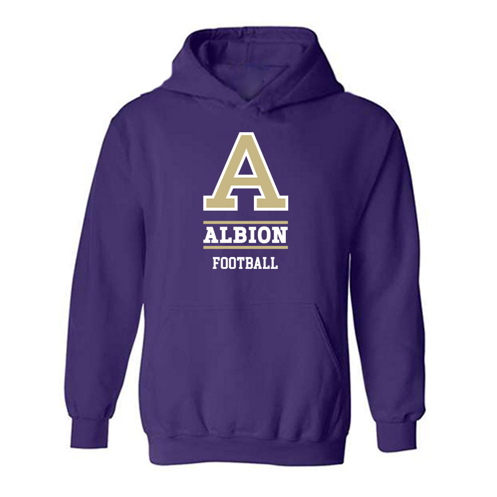 Albion - NCAA Football : LeAndre Barnes - Classic Fashion Shersey Hooded Sweatshirt-0