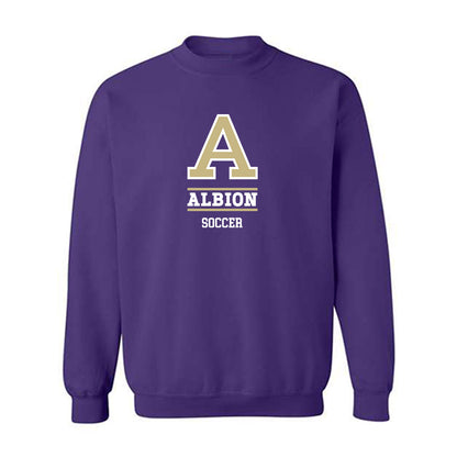 Albion - NCAA Men's Soccer : Otto Baltbardis - Classic Fashion Shersey Crewneck Sweatshirt-0
