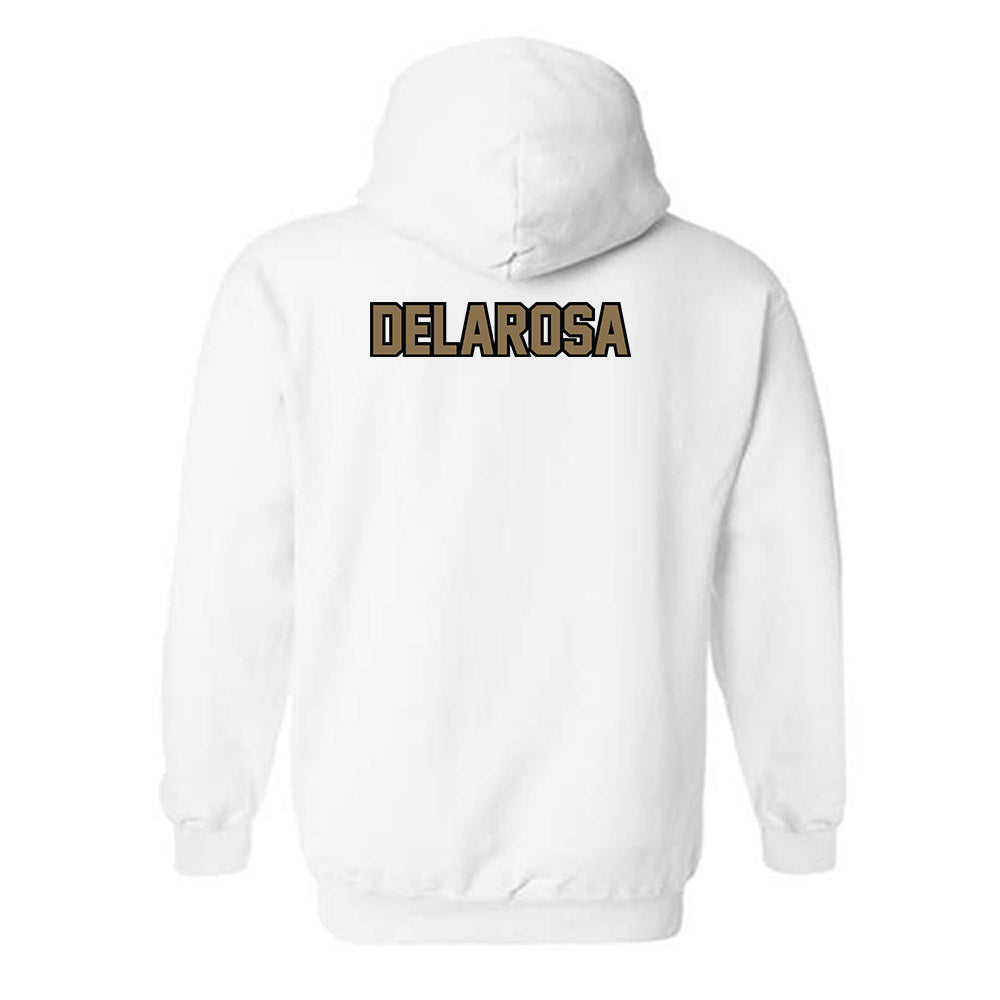 Bryant - NCAA Women's Track & Field : Tishany delarosa - Classic Shersey Hooded Sweatshirt-1