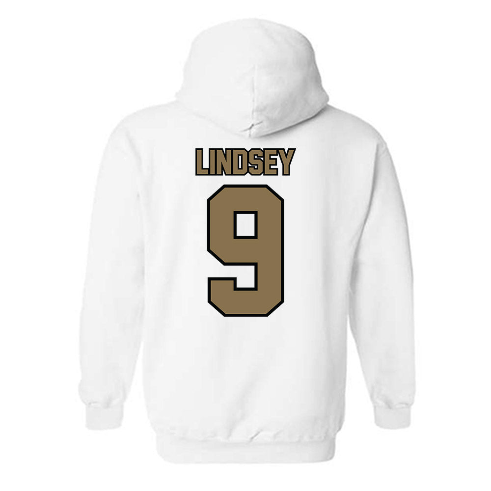 Bryant - NCAA Women's Basketball : Abbey Lindsey - Classic Shersey Hooded Sweatshirt-1