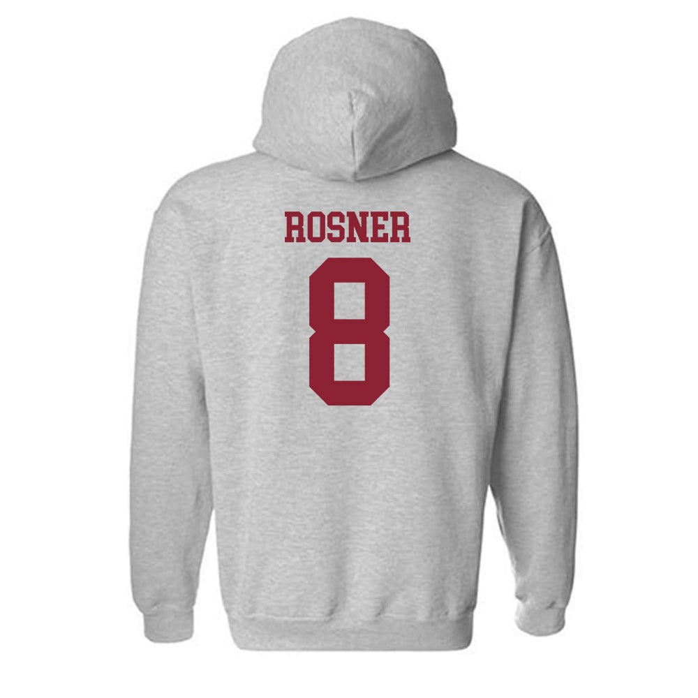 Lafayette College - NCAA Softball : Danielle Rosner - Classic Shersey Hooded Sweatshirt-1
