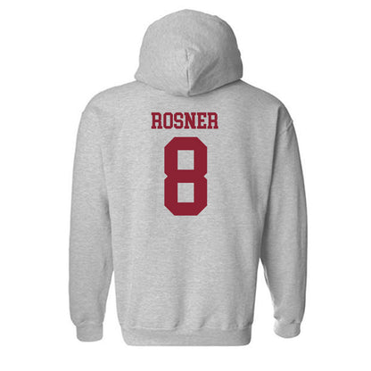 Lafayette College - NCAA Softball : Danielle Rosner - Classic Shersey Hooded Sweatshirt-1