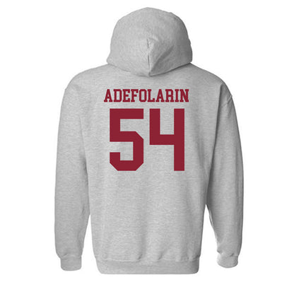 Lafayette College - NCAA Football : Daniel Adefolarin - Classic Shersey Hooded Sweatshirt-1