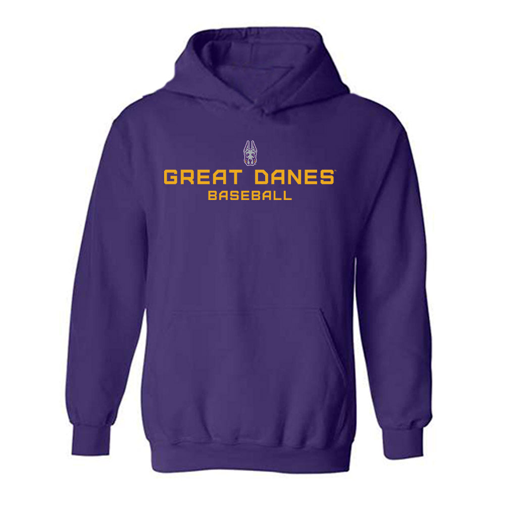 Albany - NCAA Baseball : Dylan Banner - Classic Shersey Hooded Sweatshirt