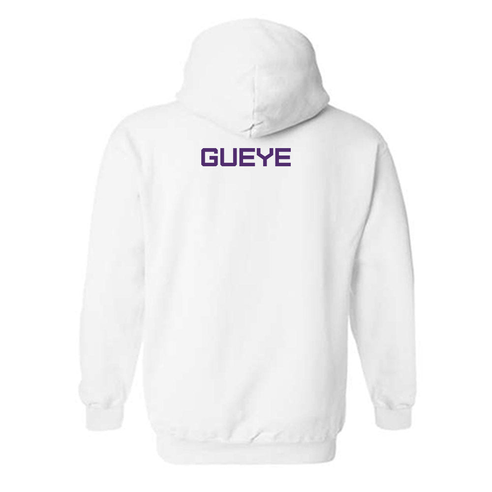 Albany - NCAA Women's Track & Field : Melissa Gueye - Classic Shersey Hooded Sweatshirt-1