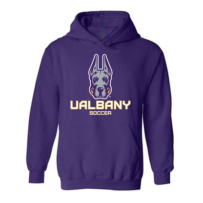 Albany - NCAA Men's Soccer : David Barkan - Classic Shersey Hooded Sweatshirt-0