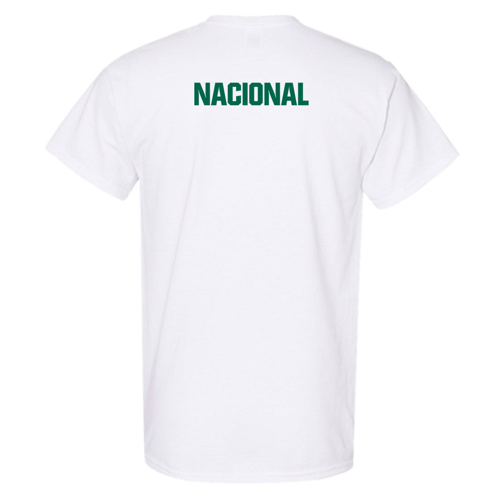 Illinois Wesleyan - NCAA Men's Swimming & Diving : Jacob Nacional - Classic Shersey T-Shirt-1