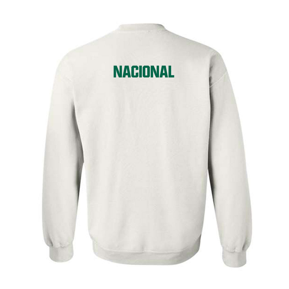 Illinois Wesleyan - NCAA Men's Swimming & Diving : Jacob Nacional - Classic Shersey Crewneck Sweatshirt-1