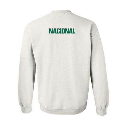Illinois Wesleyan - NCAA Men's Swimming & Diving : Jacob Nacional - Classic Shersey Crewneck Sweatshirt-1