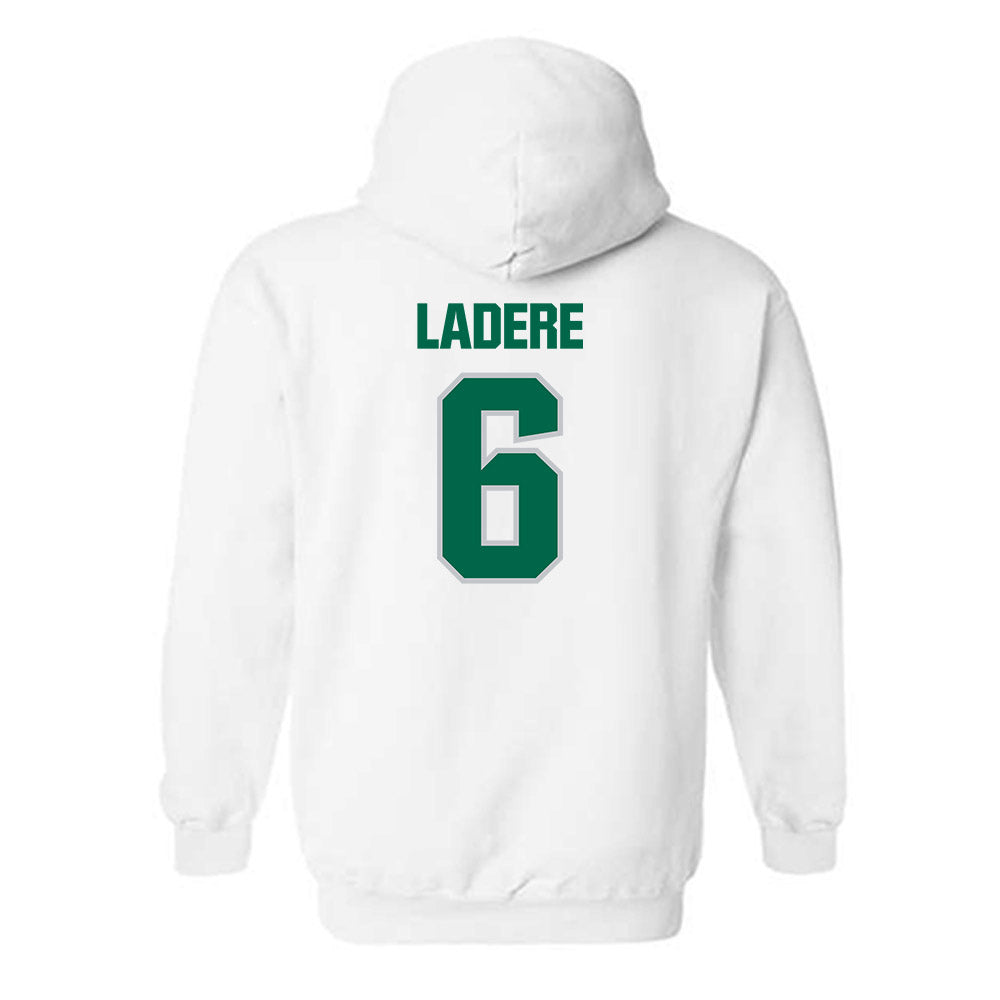 Illinois Wesleyan - NCAA Football : Gavin LaDere - Classic Shersey Hooded Sweatshirt-1