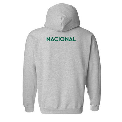 Illinois Wesleyan - NCAA Men's Swimming & Diving : Jacob Nacional - Classic Shersey Hooded Sweatshirt-1