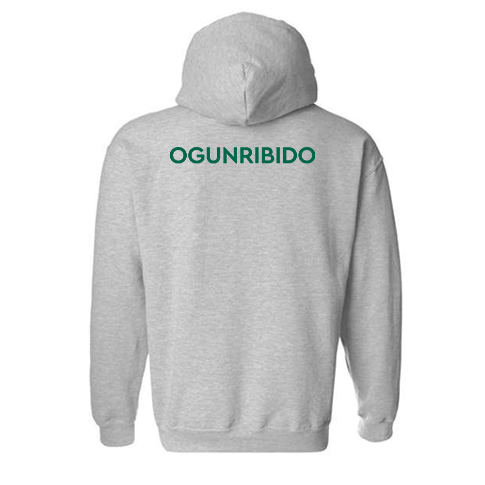 Illinois Wesleyan - NCAA Women's Track & Field : Imani Ogunribido - Classic Shersey Hooded Sweatshirt-1