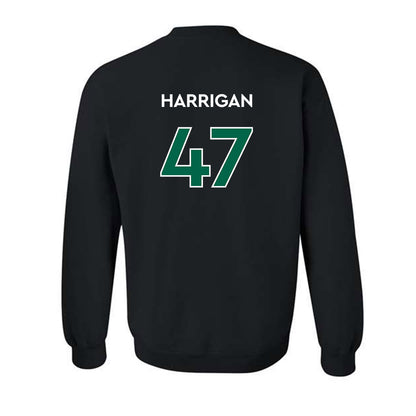 Illinois Wesleyan - NCAA Football : Luke Harrigan - Classic Shersey Crewneck Sweatshirt-1