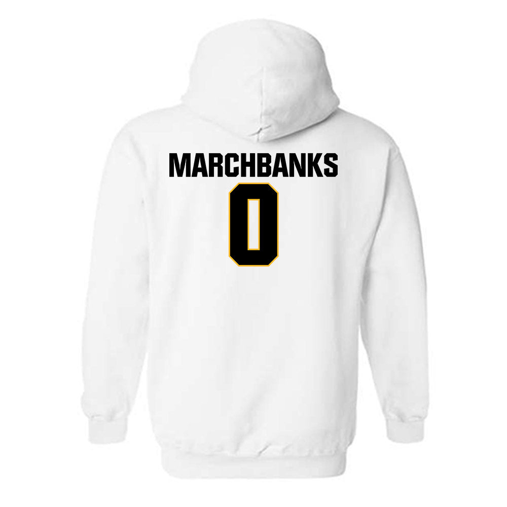 Towson - NCAA Women's Basketball : Masyn Marchbanks - Classic Fashion Shersey Hooded Sweatshirt-1