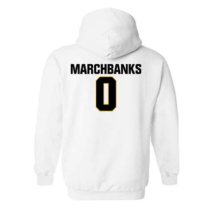Towson - NCAA Women's Basketball : Masyn Marchbanks - Classic Fashion Shersey Hooded Sweatshirt-1