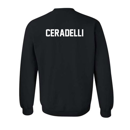 Youngstown State - NCAA Men's Tennis : Matteo Ceradelli - Classic Shersey Crewneck Sweatshirt-1