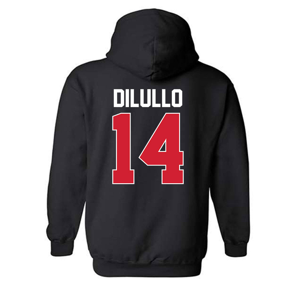 Youngstown State - NCAA Baseball : Ryan DiLullo - Classic Shersey Hooded Sweatshirt-1