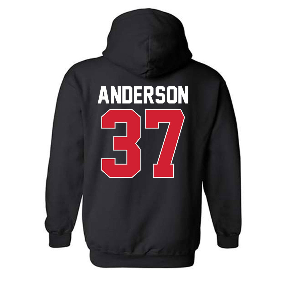 Youngstown State - NCAA Football : Evan Anderson - Classic Shersey Hooded Sweatshirt-1