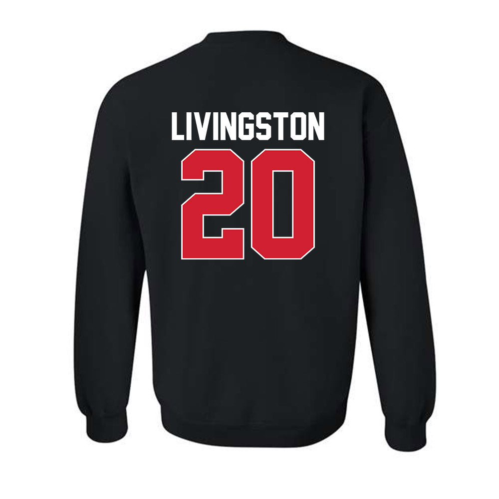 Youngstown State - NCAA Men's Basketball : Jamar Livingston - Classic Shersey Crewneck Sweatshirt-1
