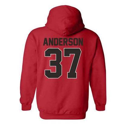Youngstown State - NCAA Football : Evan Anderson - Classic Shersey Hooded Sweatshirt-1