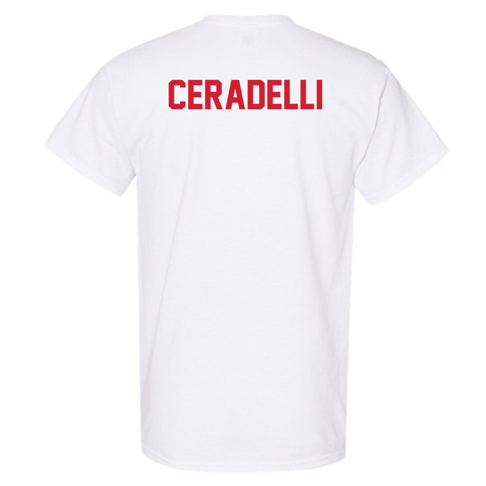 Youngstown State - NCAA Men's Tennis : Matteo Ceradelli - Classic Shersey T-Shirt-1