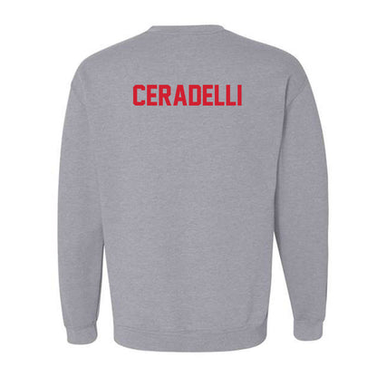 Youngstown State - NCAA Men's Tennis : Matteo Ceradelli - Classic Shersey Crewneck Sweatshirt-1