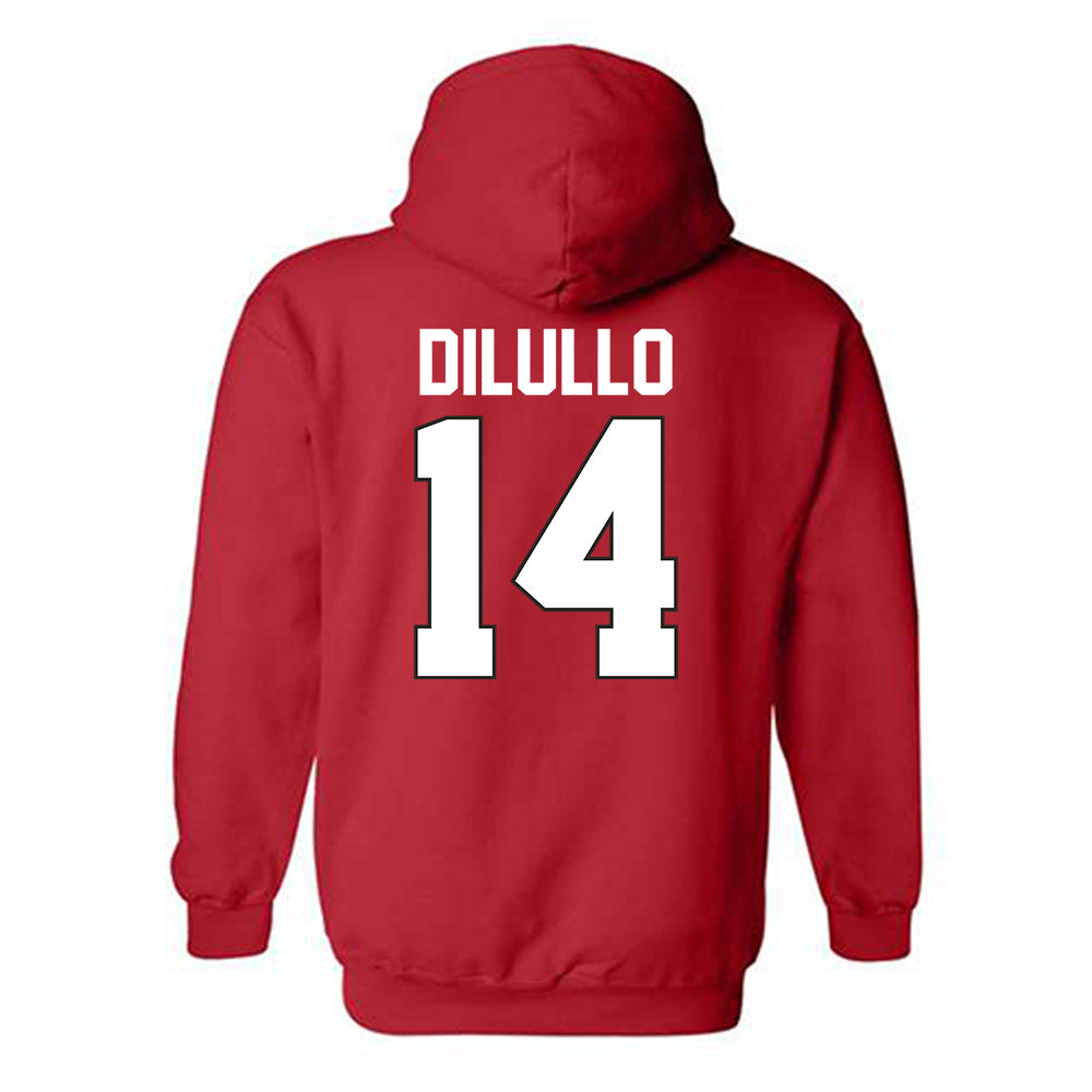 Youngstown State - NCAA Baseball : Ryan DiLullo - Classic Shersey Hooded Sweatshirt-1