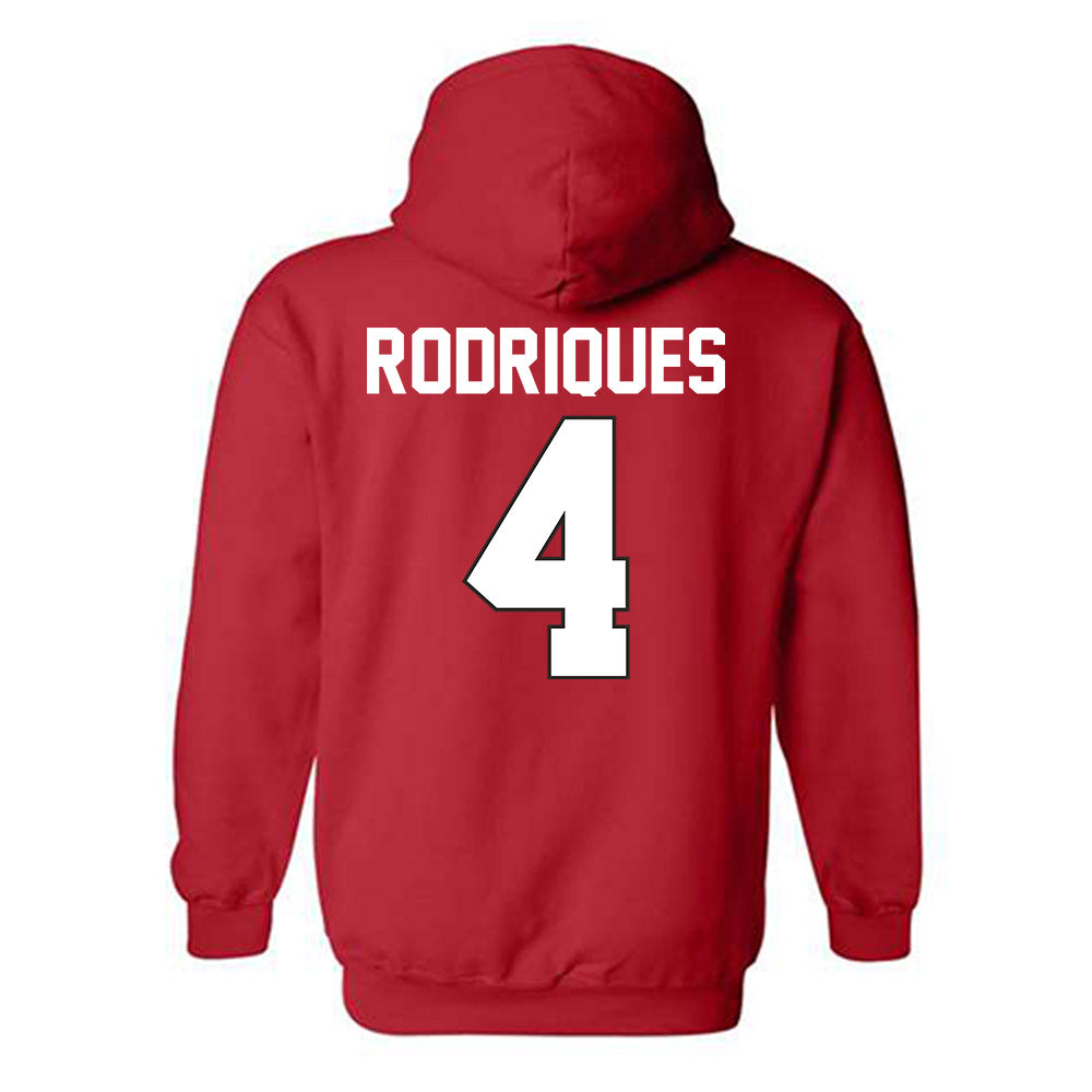Youngstown State - NCAA Baseball : Michael Rodriques - Classic Shersey Hooded Sweatshirt-1