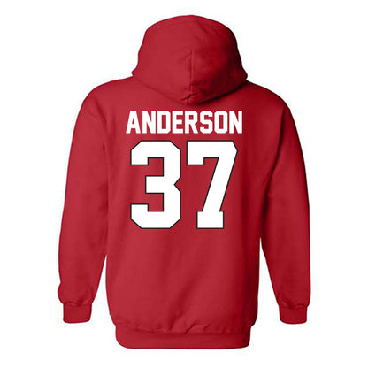 Youngstown State - NCAA Football : Evan Anderson - Classic Shersey Hooded Sweatshirt-1