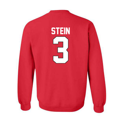 Youngstown State - NCAA Baseball : Bowman Stein - Classic Shersey Crewneck Sweatshirt-1