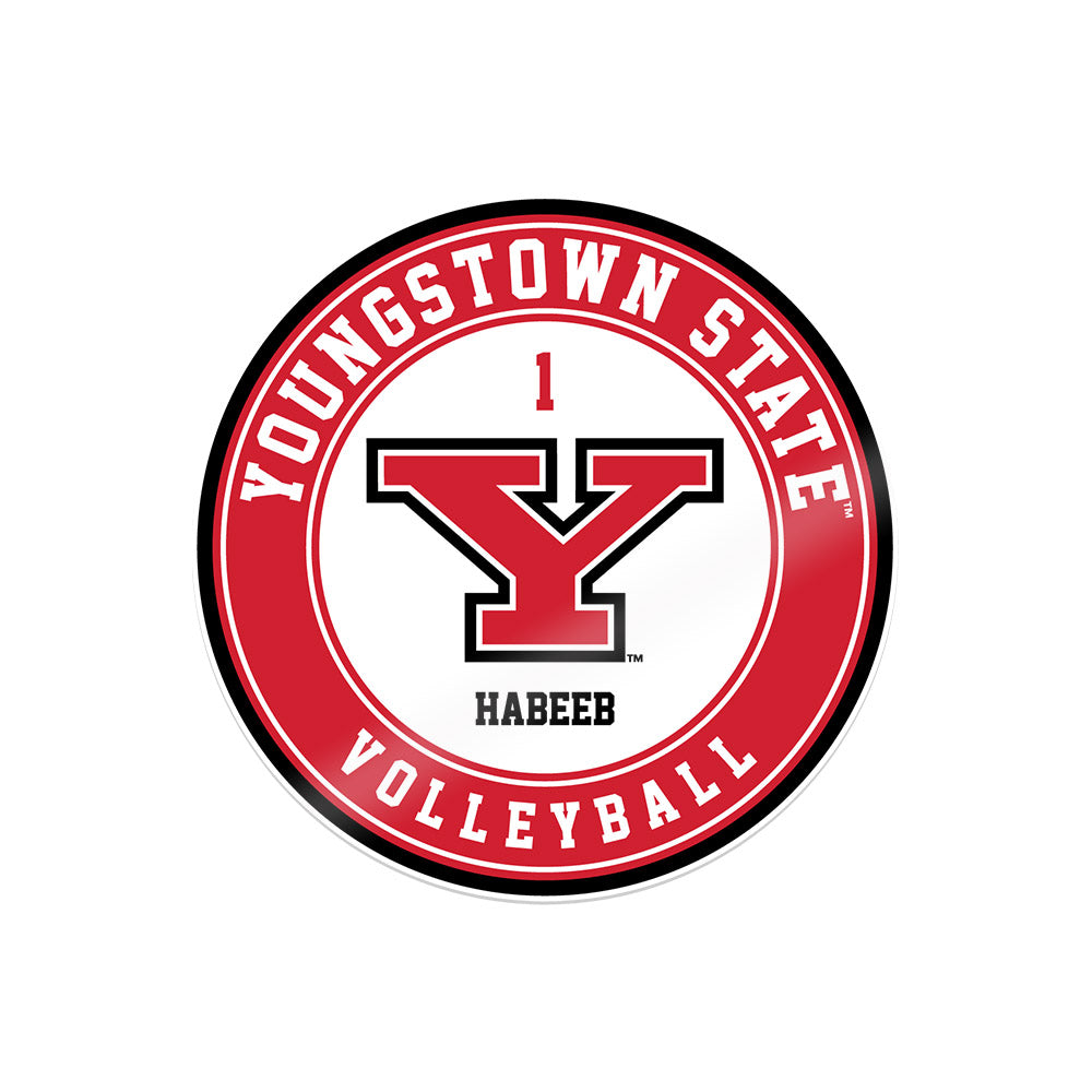 Youngstown State - NCAA Women's Volleyball : Brie Habeeb - Sticker-0