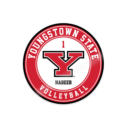 Youngstown State - NCAA Women's Volleyball : Brie Habeeb - Sticker-0