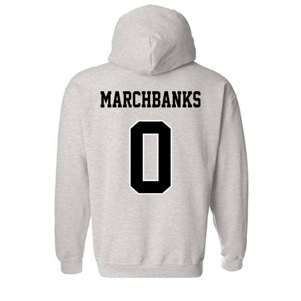 Towson - NCAA Women's Basketball : Masyn Marchbanks - Classic Fashion Shersey Hooded Sweatshirt-1