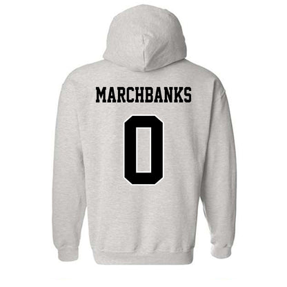 Towson - NCAA Women's Basketball : Masyn Marchbanks - Classic Fashion Shersey Hooded Sweatshirt-1
